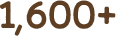 1,600+